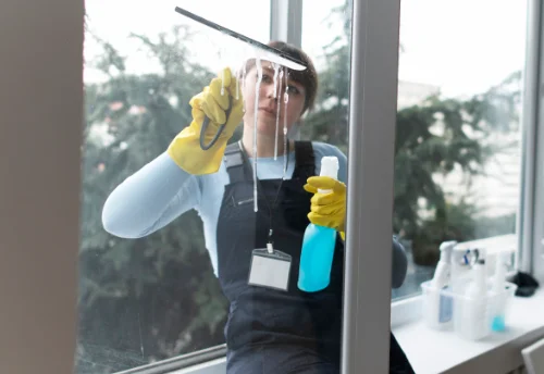 Nettoyage de vitres intérieures et extérieures à Chassy